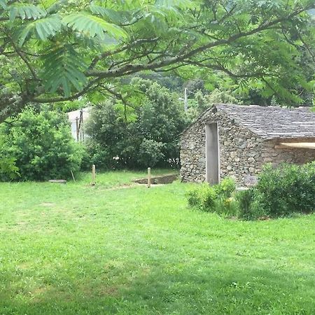 Villa Olivetu Sisco Esterno foto