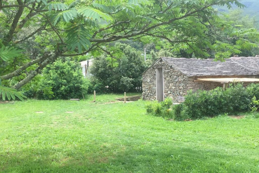 Villa Olivetu Sisco Esterno foto